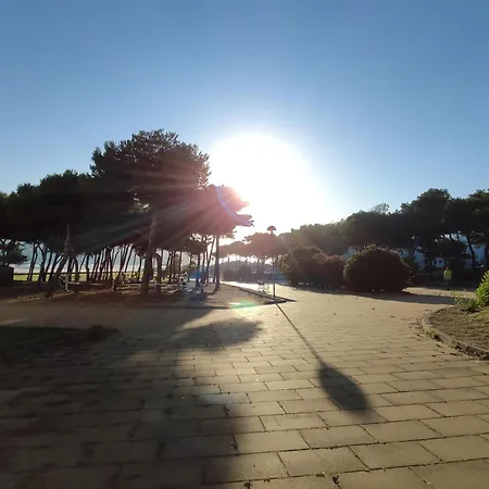 Smart Conil Bateles Apartament